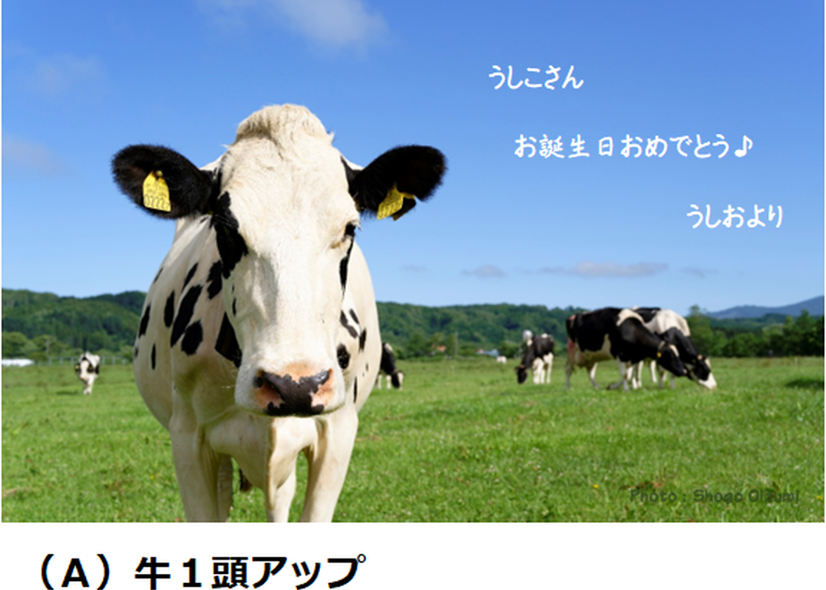 62a5596af405a11008ab2d84