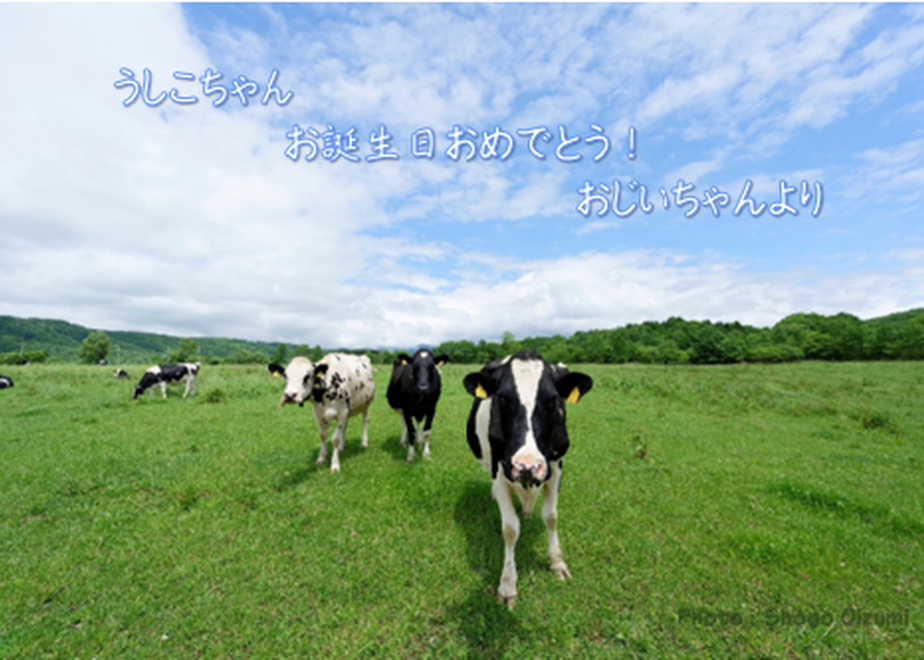 62a5596af405a11008ab2d84