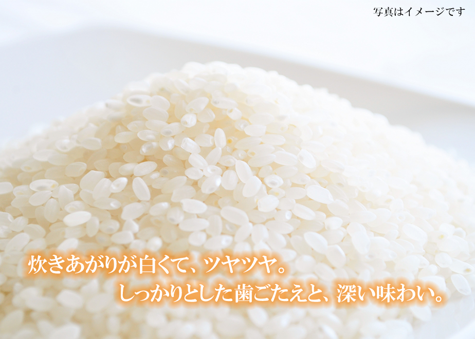 6121c205e494335bfc3ee5a8