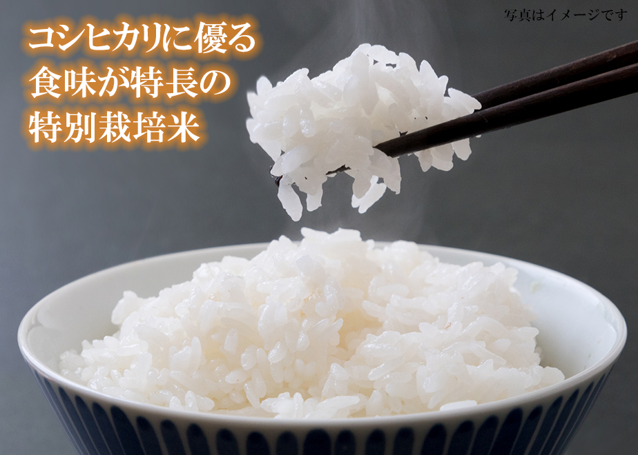 6121c205e494335bfc3ee5a8