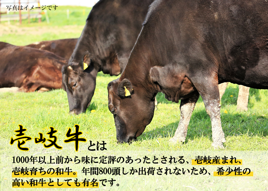 6163e386edf49f2674b83233