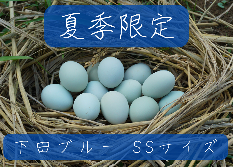 62c17a90a74e33149e96cabb