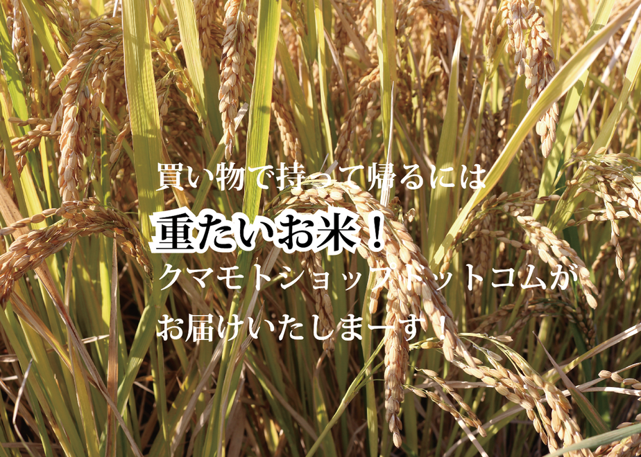 60b064e89a5b753f941d317c