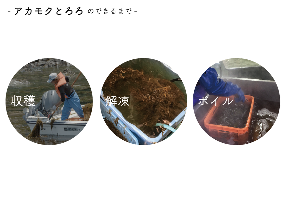 5f8ce9616e8b2b762a32c896