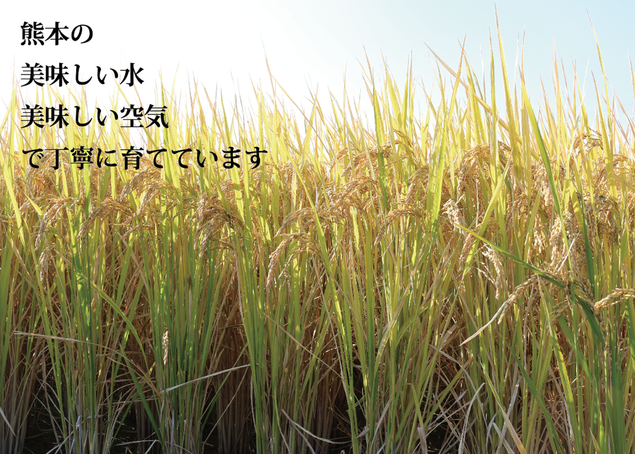 60b064e89a5b753f941d317c