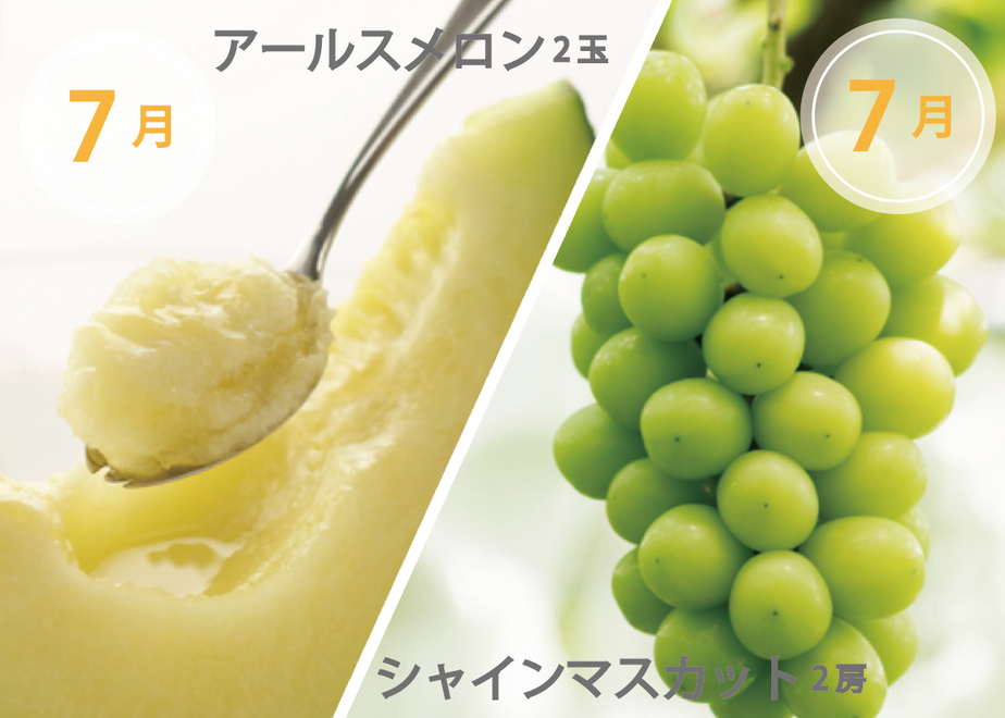 6178c4b77d5d817ff06a0e3f