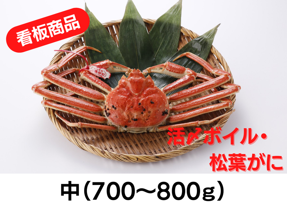 5fd5b2f2b00aa371c2714a3d