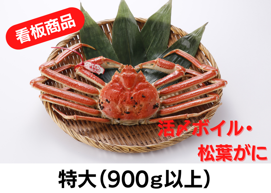 5fa40e64f0b1083a80071a1a