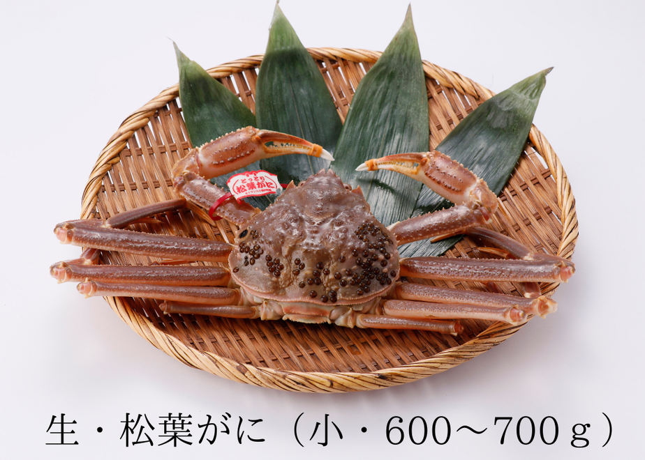 5fa4051ef0b1083a490719d3