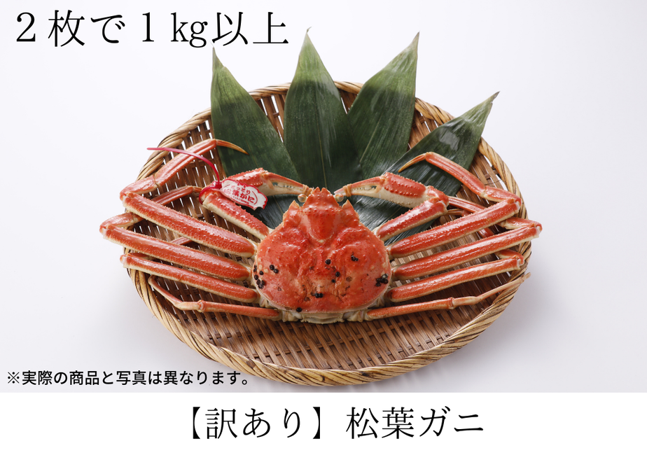 61861403c15c5a7e1890ff63