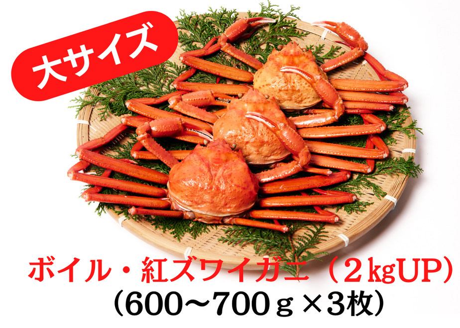 6291754cc359a872836fc95f