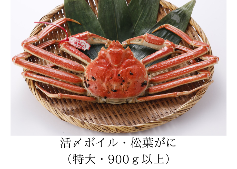 5fa40e64f0b1083a80071a1a