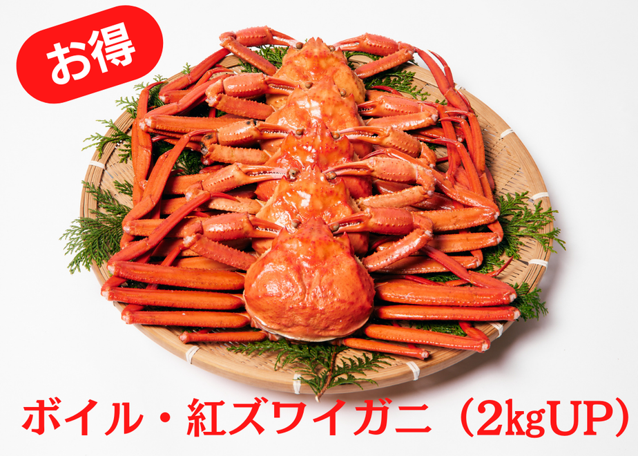 623d39e9a861131746faed79