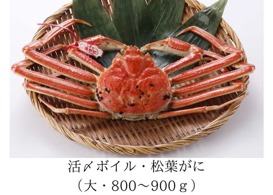 5fa40e1b8a457258950996a8