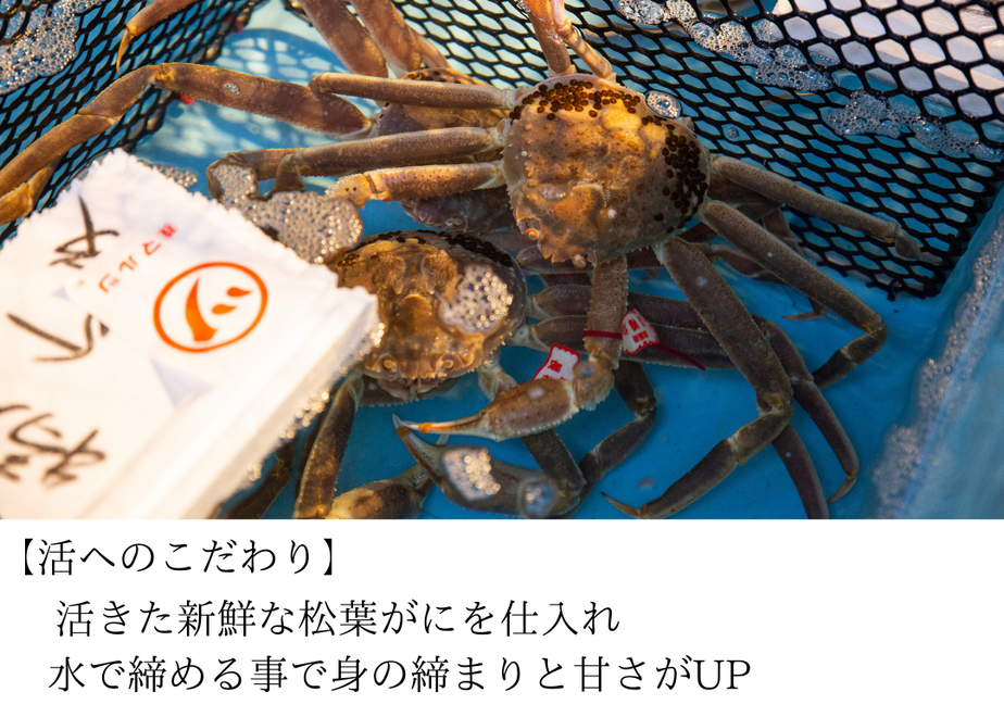 5fa400ebdf51590bb15d7147