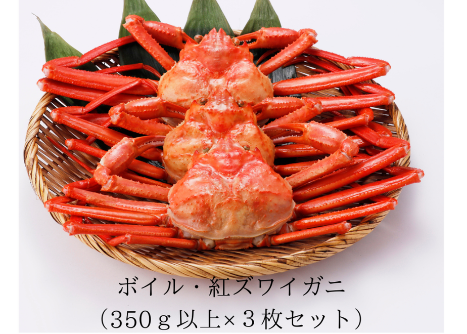 5e8af9d7e20b04198c06363b