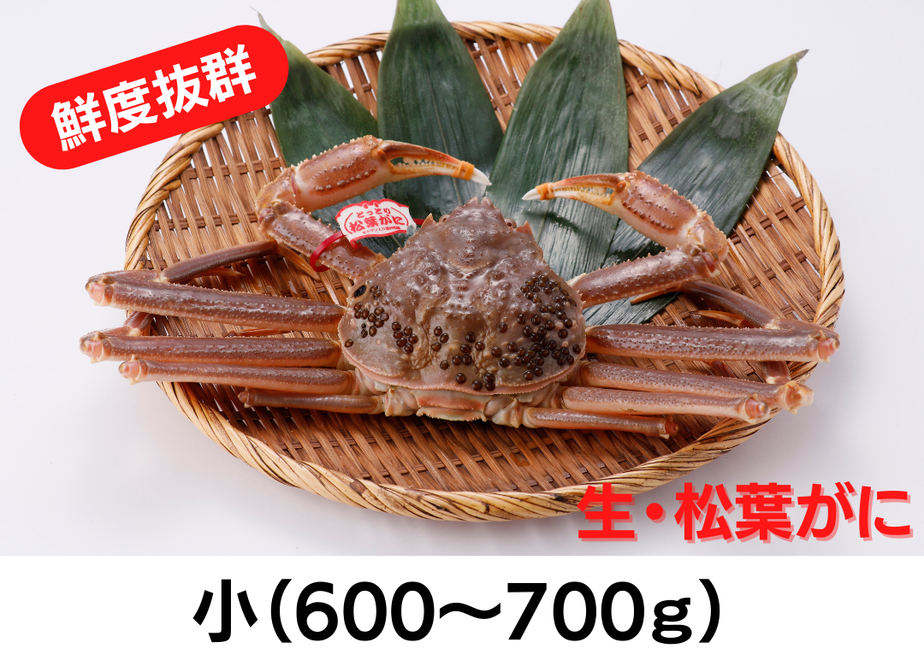 5fa4051ef0b1083a490719d3