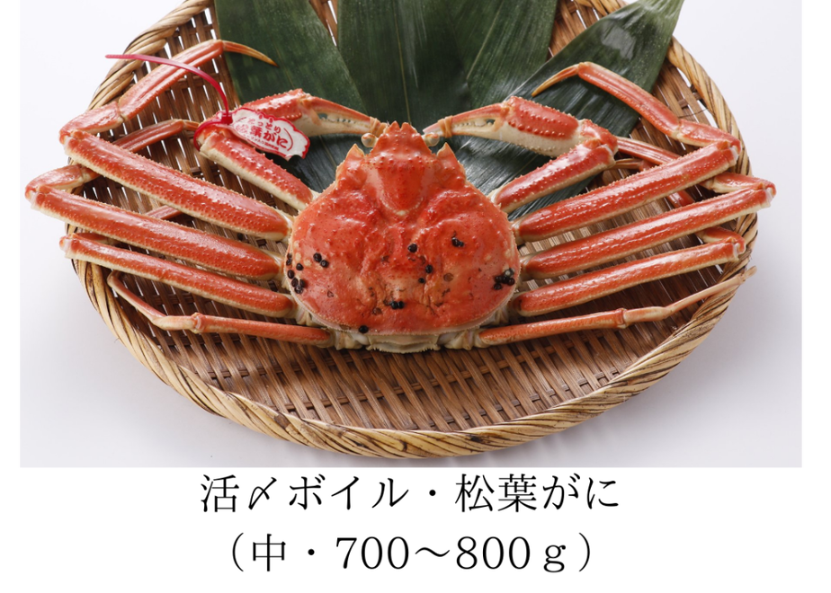 5fd5b2f2b00aa371c2714a3d