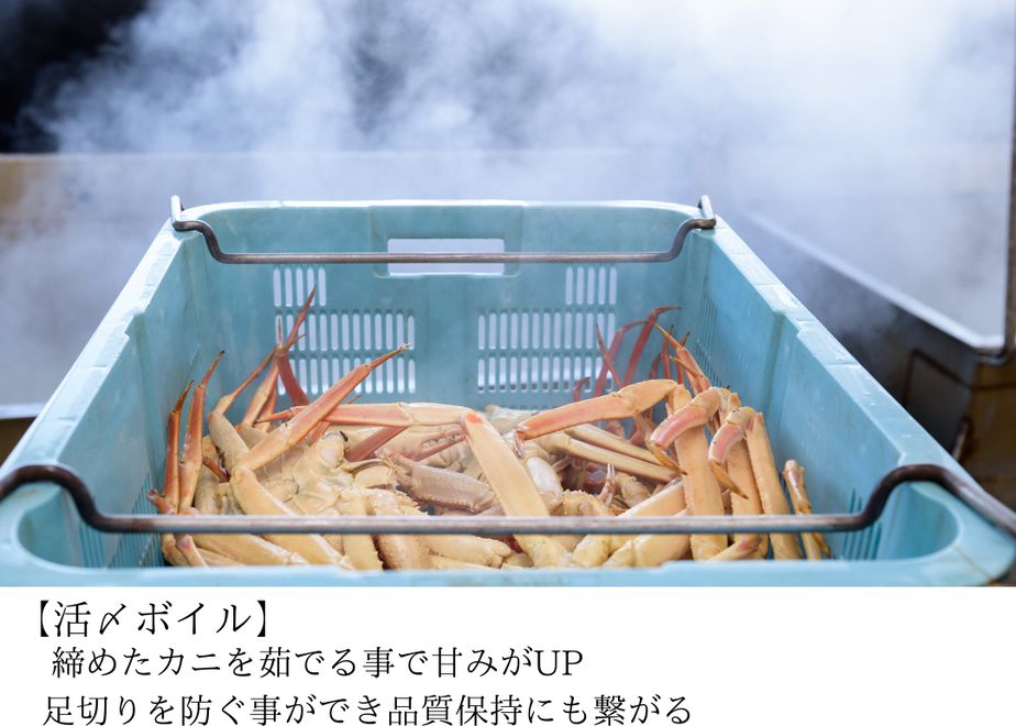 5fa40e1b8a457258950996a8