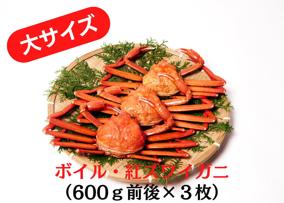 6291754cc359a872836fc95f