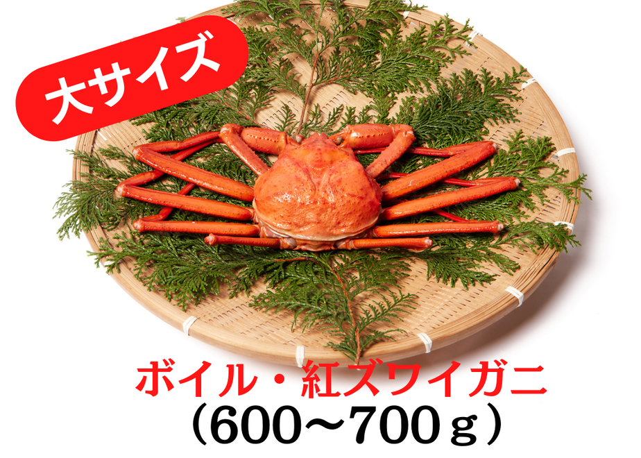 623e530823c2aa4809519987