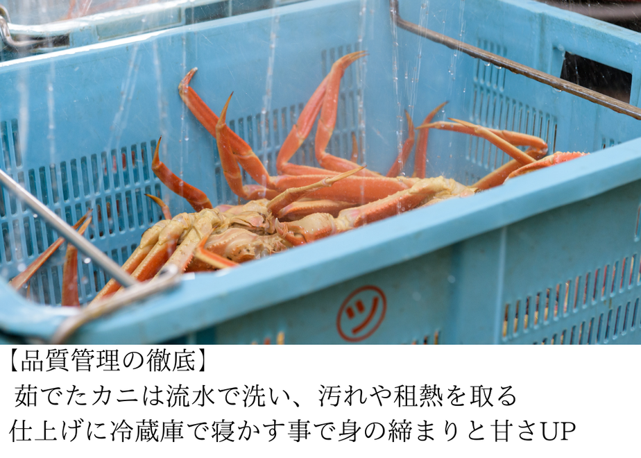5fa40e64f0b1083a80071a1a