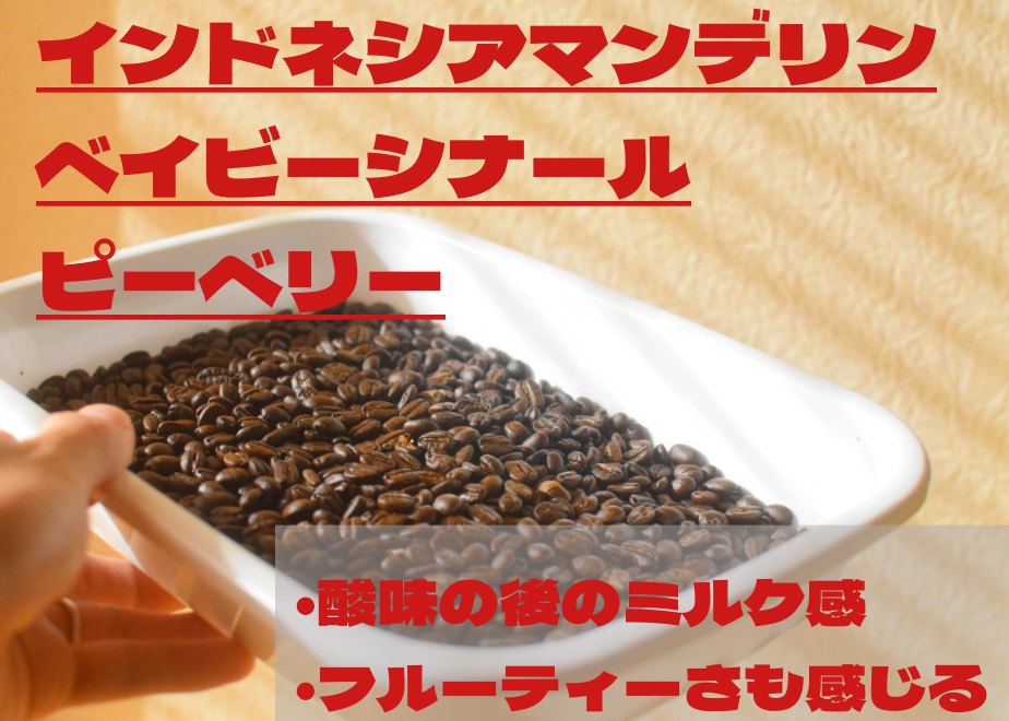 6127554c7acd160837262046