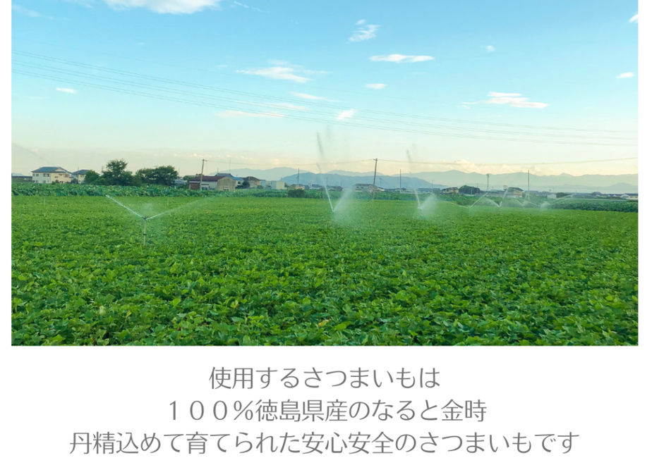 61408a1aacbcb026dd2171b0