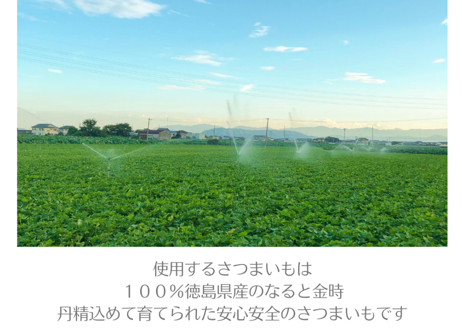 611cca3ea92a7871d8bc1019