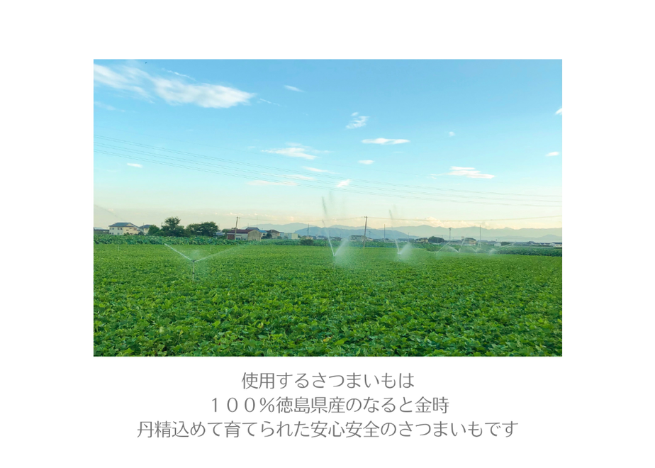 60d420051039862630253a69