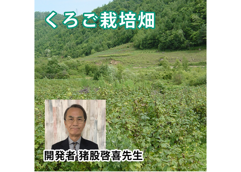 619b71fc863b730d0bfe542a