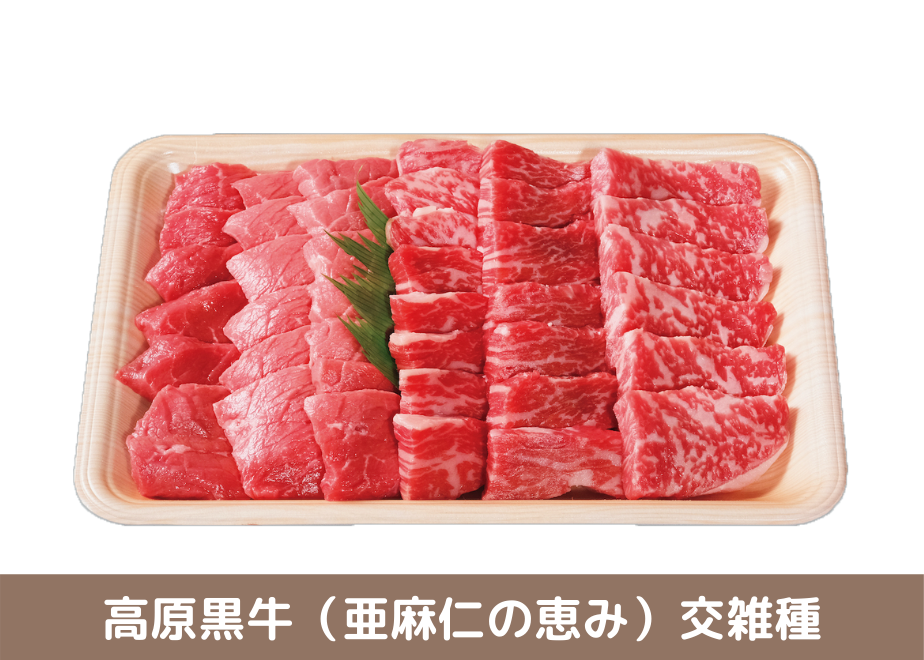 5edf15eb55fa0347a26e8eef