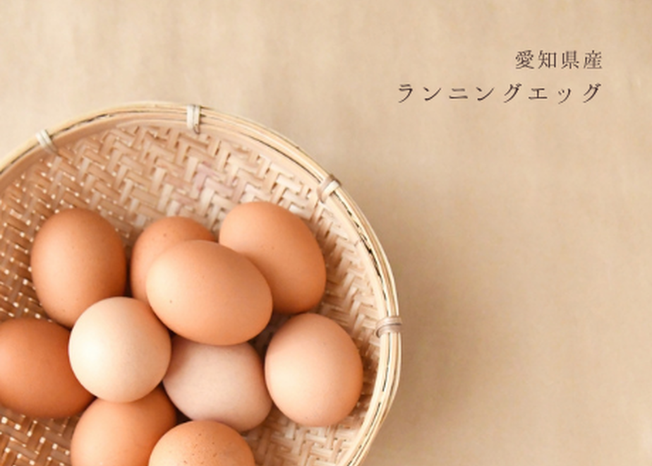 5f0ec9f313a48b37c66677c9