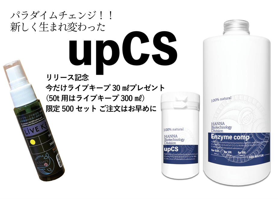 5d3436963a7e963843d2488b