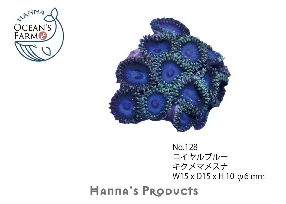 5f758ec24b08390b8bdc0b1a