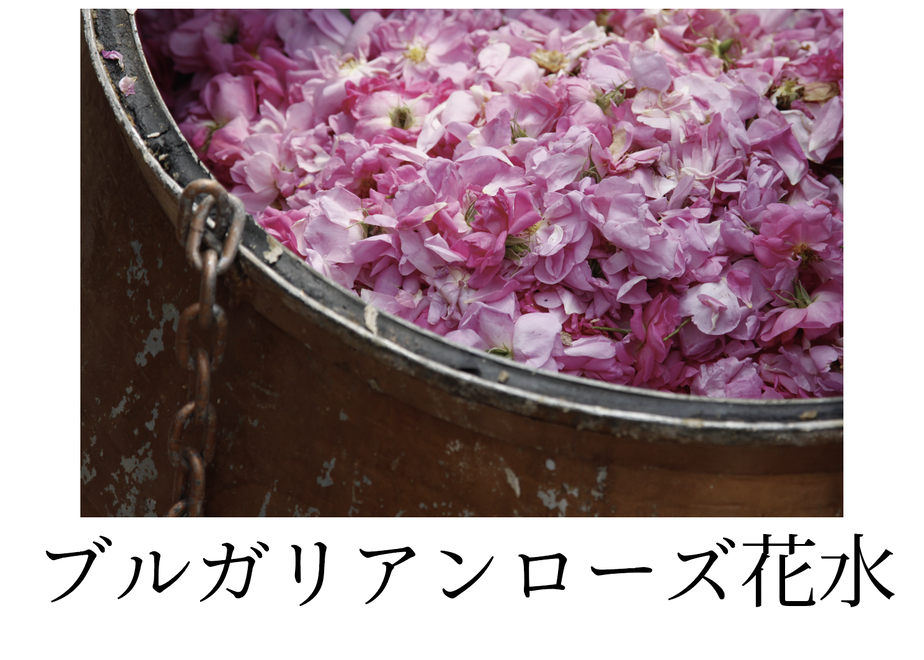 63d34ae07d65da61a5276101