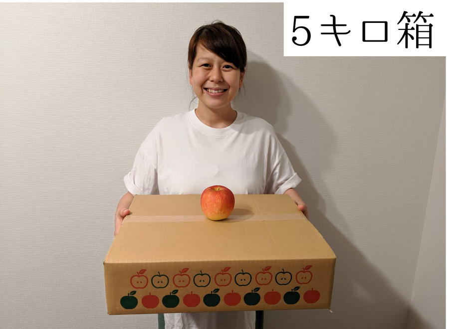 602d564d935fcc1202843fc4
