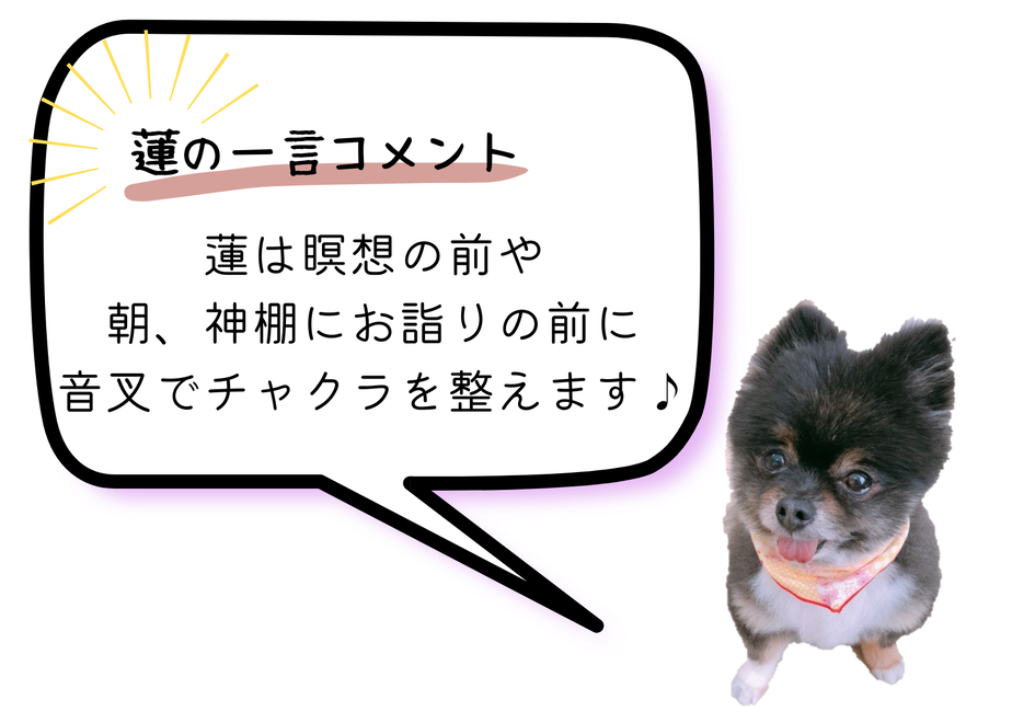 616135cc47a5341699ca0c7f