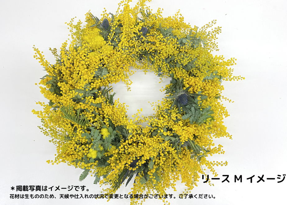63c11c3d6e84d55f5ae5edb0