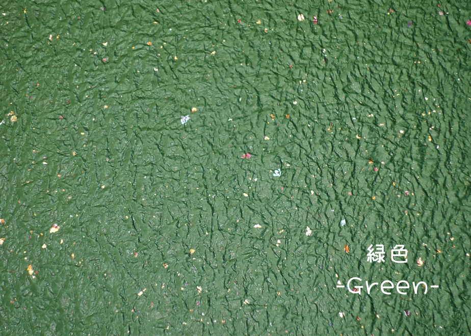 5ec4d5c034ef013454a95506