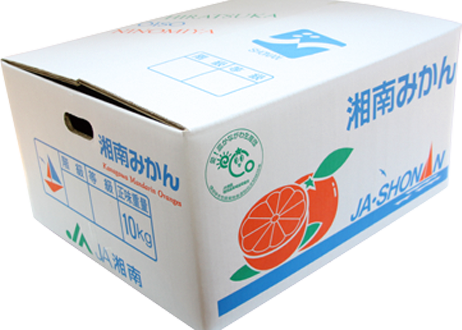 5f811abb0850a06ebd116c6d