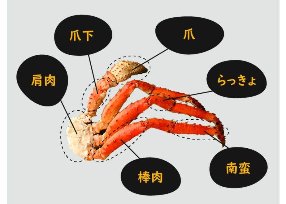 5fd9b1a4df51592abf4f91a3