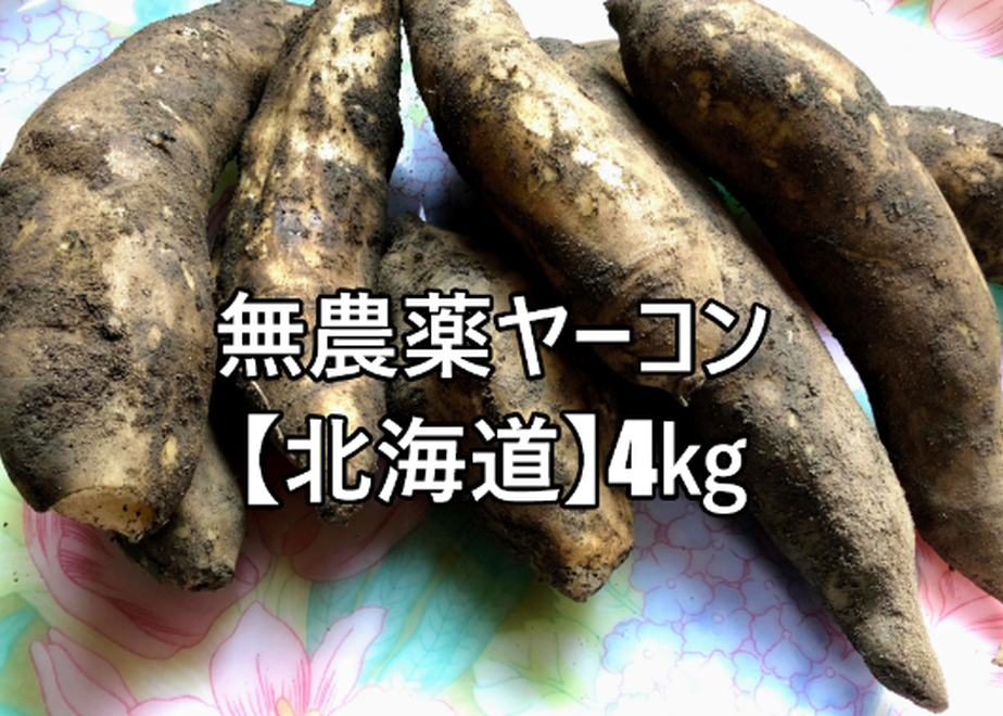 5fb4e82ab00aa3179a6c239a