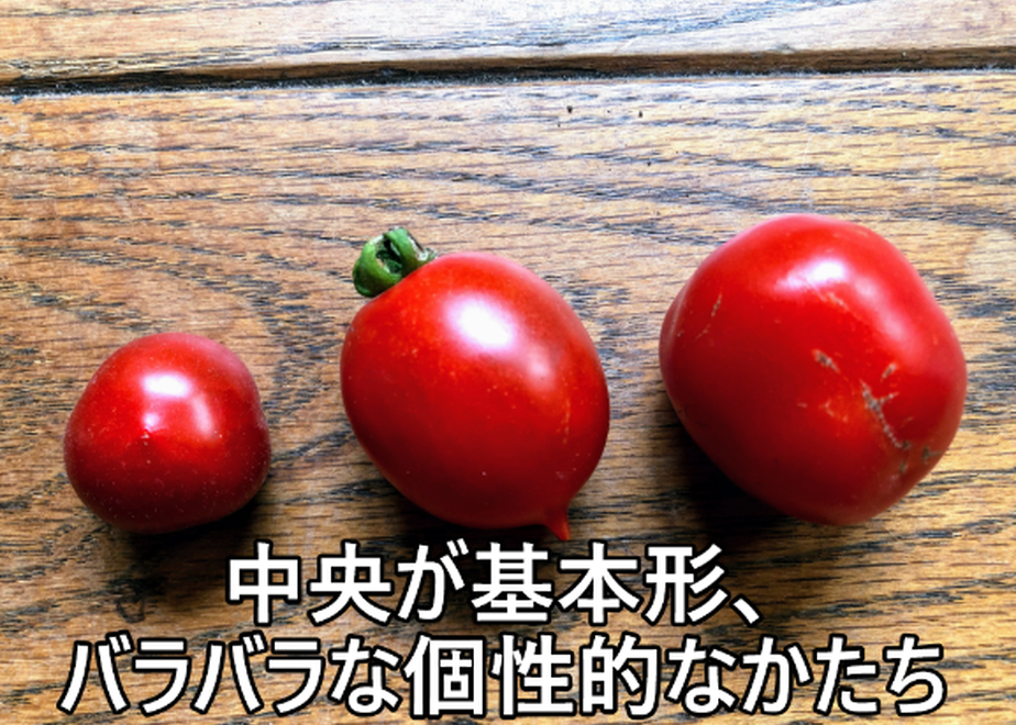 5e927ebce20b04450631e088