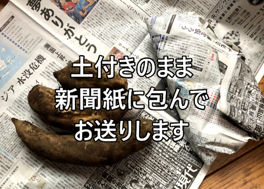 5fb4e82ab00aa3179a6c239a