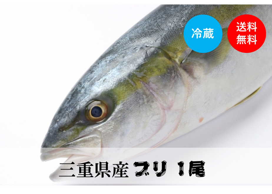 5fa93f2eb00aa344af7e0184