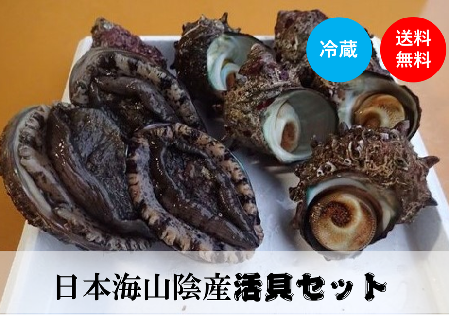 5fa92d4872eb4631373b0132