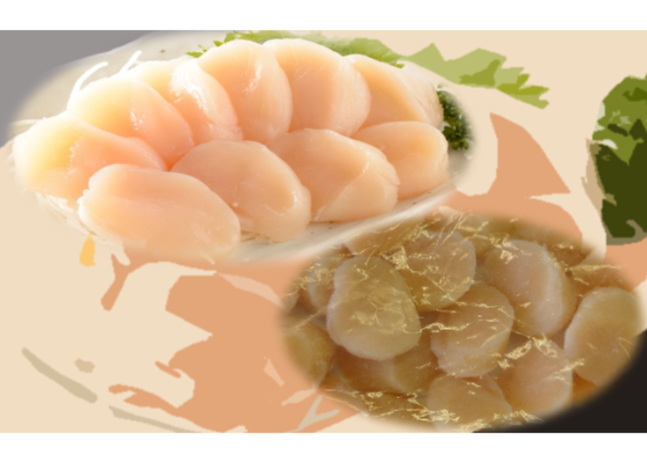 5f9b81d472eb463a89b604cd