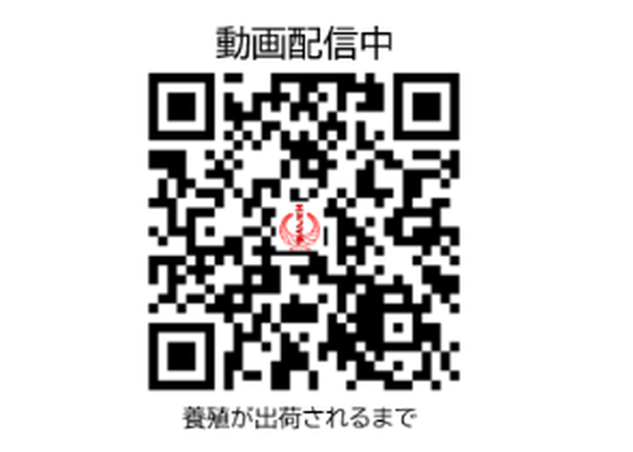 5fa29e32df515940a015c99c