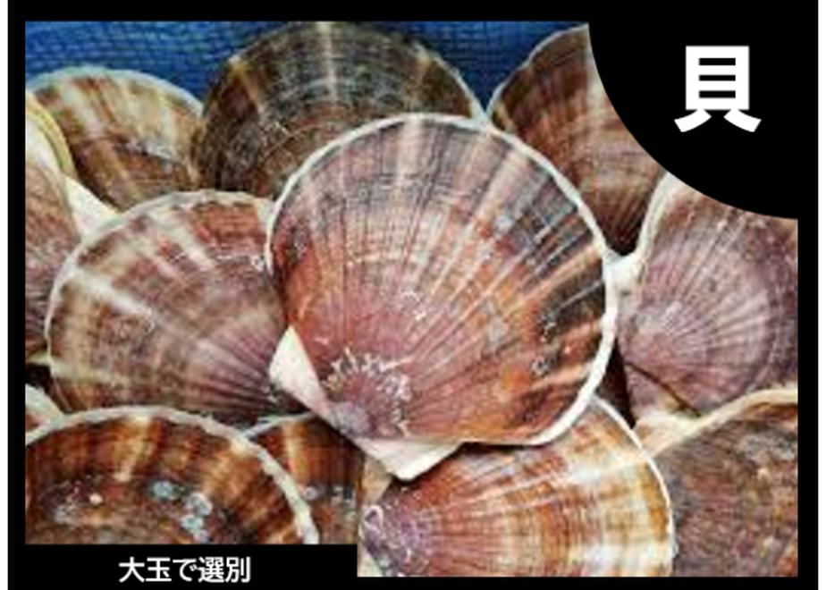 5f8a82256e8b2b1b8e3290bc